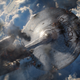 Illustration for article titled How To Get Into iStar Trek/i If You Only Know the J.J. Abrams Movies